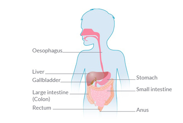 Childhood Gastro Disease